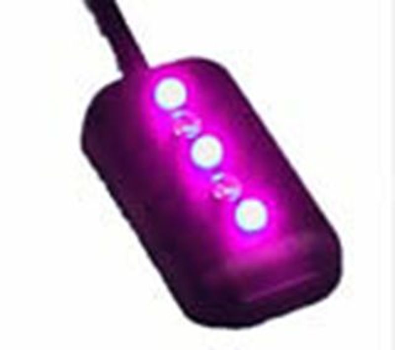 Rosa LED-Box 12V