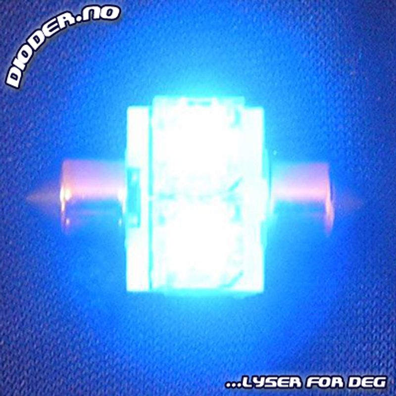 12V 30mm LED pinolpære